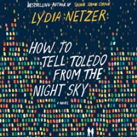 How_to_Tell_Toledo_from_the_Night_Sky